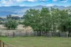 2712 Gundowring Road, Upper Gundowring, Vic 3691-Image
