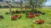 2712 Gundowring Road, Upper Gundowring, Vic 3691-Image