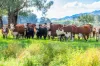 2712 Gundowring Road, Upper Gundowring, Vic 3691-Image