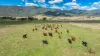 2712 Gundowring Road, Upper Gundowring, Vic 3691-Image