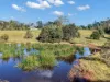 293 Findley Lane, Sawyers Gully, NSW 2326-Image