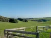 3 Koetsveldt Road, Ryanston, Vic 3992-Image