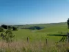 3 Koetsveldt Road, Ryanston, Vic 3992-Image
