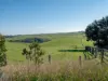 3 Koetsveldt Road, Ryanston, Vic 3992-Image