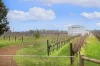 345 Payne Road, Jindong, WA 6280-Image
