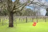 345 Payne Road, Jindong, WA 6280-Image