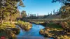392 Mutton Falls Road, Tarana, NSW 2787-Image