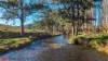 392 Mutton Falls Road, Tarana, NSW 2787-Image