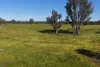 439 East, Barham NSW 2732-Image