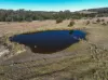 480 Dewsburys Lane, Lake Bathurst, NSW 2580-Image
