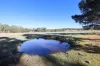 480 Dewsburys Lane, Lake Bathurst, NSW 2580-Image