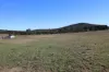 480 Dewsburys Lane, Lake Bathurst, NSW 2580-Image