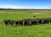 485 West Creek Road, West Creek, Vic 3992-Image