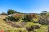 50 Millers Lane, Chatham Valley, NSW 2787-Image
