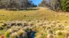 50 Millers Lane, Chatham Valley, NSW 2787-Image
