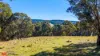 50 Millers Lane, Chatham Valley, NSW 2787-Image