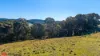 50 Millers Lane, Chatham Valley, NSW 2787-Image