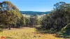 50 Millers Lane, Chatham Valley, NSW 2787-Image