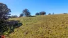 50 Millers Lane, Chatham Valley, NSW 2787-Image