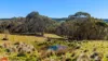 50 Millers Lane, Chatham Valley, NSW 2787-Image