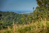 582 Upper Burringbar Road, Upper Burringbar, NSW 2483-Image