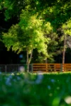 582 Upper Burringbar Road, Upper Burringbar, NSW 2483-Image