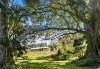 582 Upper Burringbar Road, Upper Burringbar, NSW 2483-Image