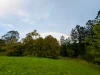 582 Upper Burringbar Road, Upper Burringbar, NSW 2483-Image