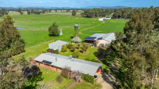 61 Forest Lane, Markwood, Vic 3678