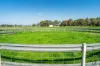 61 Forest Lane, Markwood, Vic 3678-Image