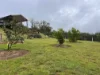 6892 Gwydir Highway, Cangai, NSW 2460-Image