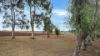 7 Speed Road, Oakey, Qld 4401-Image
