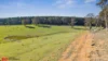 77 Campbells River Road, Black Springs, NSW 2787-Image