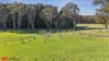 77 Campbells River Road, Black Springs, NSW 2787-Image