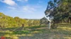 77 Campbells River Road, Black Springs, NSW 2787-Image