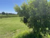 Address available on request, South West Rocks, NSW 2431-Image