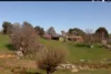 Address available on request, Tumbarumba, NSW 2653-Image