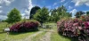 Address available on request, Tumbarumba, NSW 2653-Image