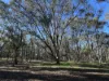 Lot 91 County Boundary Road, Pleasant Hills, NSW 2658-Image