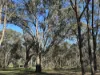 Lot 91 County Boundary Road, Pleasant Hills, NSW 2658-Image