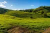 LOT 96C D E Taits Lane, Yarck, Vic 3719