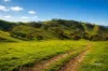 LOT 96C D E Taits Lane, Yarck, Vic 3719-Image