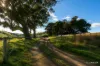 LOT 96C D E Taits Lane, Yarck, Vic 3719-Image