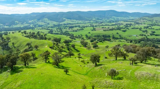 Sandy Creek Road, Sandy Creek, Vic 3695