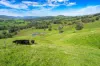 Sandy Creek Road, Sandy Creek, Vic 3695-Image