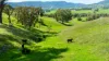 Sandy Creek Road, Sandy Creek, Vic 3695-Image