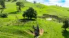 Sandy Creek Road, Sandy Creek, Vic 3695-Image