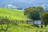 Sandy Creek Road, Sandy Creek, Vic 3695-Image
