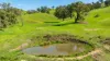 Sandy Creek Road, Sandy Creek, Vic 3695-Image