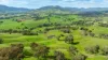 Sandy Creek Road, Sandy Creek, Vic 3695-Image